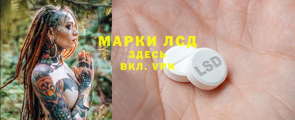 ПСИЛОЦИБИНОВЫЕ ГРИБЫ Аркадак