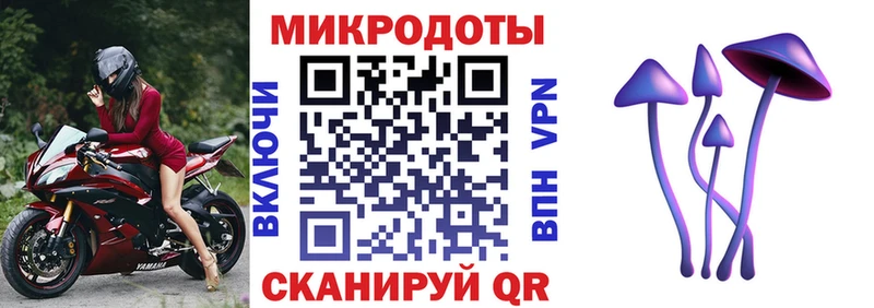 Псилоцибиновые грибы MAGIC MUSHROOMS  цена наркотик  Байкальск 